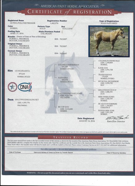 Scan_20240916Trigger APHA