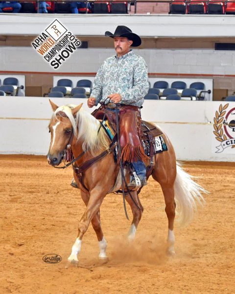 aqha-reining-champion